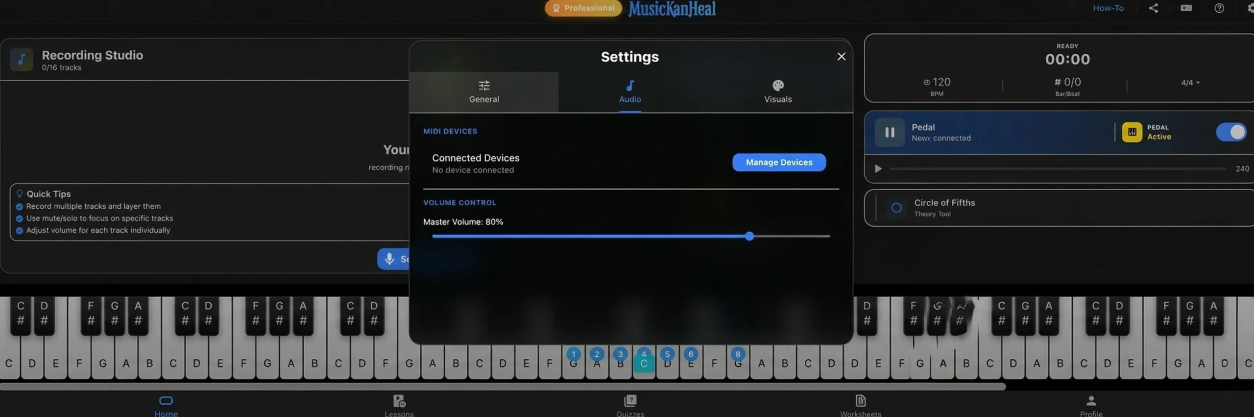 General audio settings showing master volume control slider.